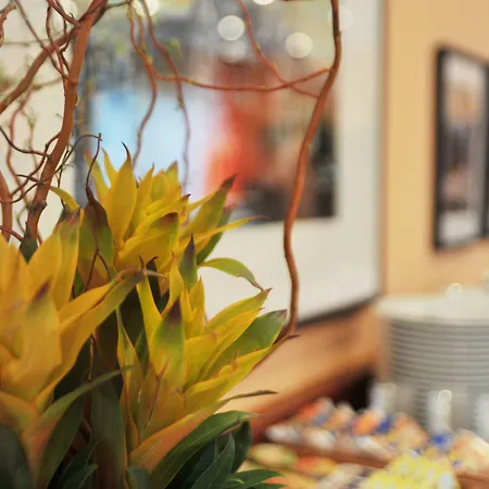 호텔 세르바티우스